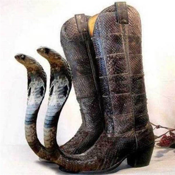 Gà, trăn, rắn, những con vật đặc cũng được mang vào các thiết kế giày dép có một không hai.
