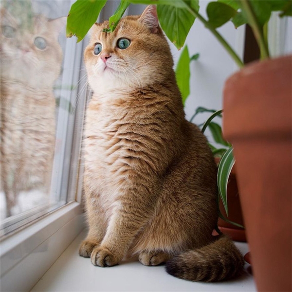 Nhìn mình chả thấy đường cong quyến rũ đâu cả.