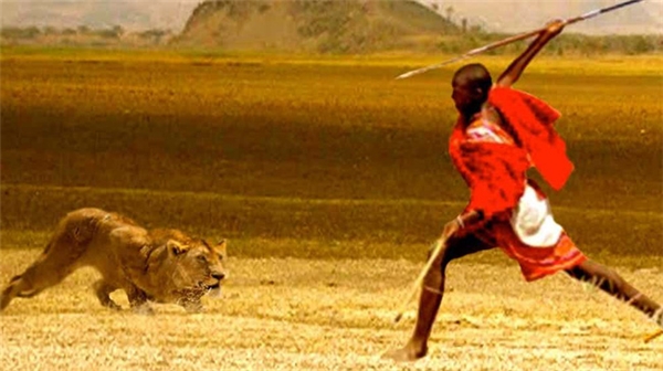 Chiến đấu với con sư tử để thể hiện sức mạnh của một chiến binh.