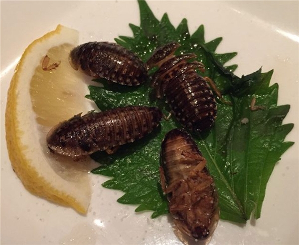 Nhà hàng Nhật chuyên phục vụ những món ăn quái đản nhất thế giới