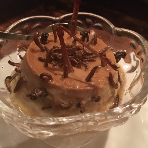 Bạn nghĩ sao nếu dùng tráng miệng bằng món pudding sâu bọ này?