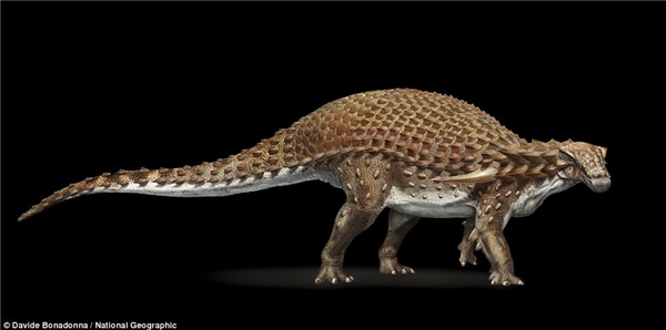 Ảnh dựng 3D của loài khủng long nodosaur mới được phát hiện