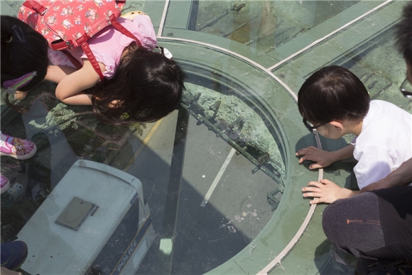 Công viên thu hút nhiều gia đình, giới trẻ Seoul và du khách đến tham quan.