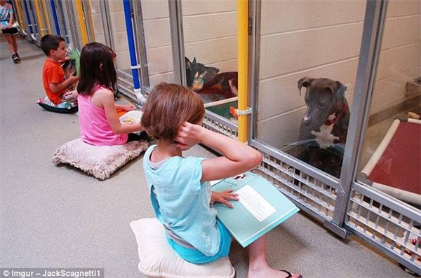 Những em bé ở Missouri đang ngồi tập đọc để trấn an tinh thần những chú chó đáng thương bị chủ bỏ rơi.