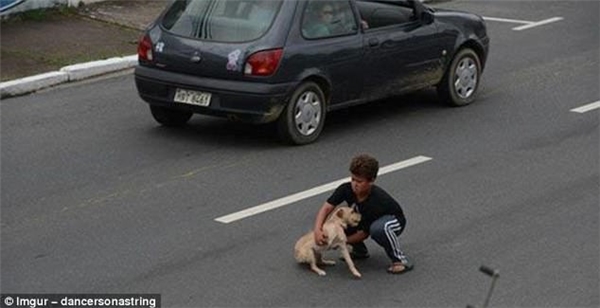 Một cậu bé trai chạy nhanh ra đường để bảo vệ chú chó khỏi tai nạn giao thông. Chú chó này bị thương nên việc di chuyển rất khó khăn và chậm chạp.