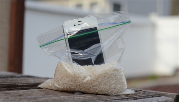 Image result for sự thật dùng gạo có thể hút nước ở điện thoại