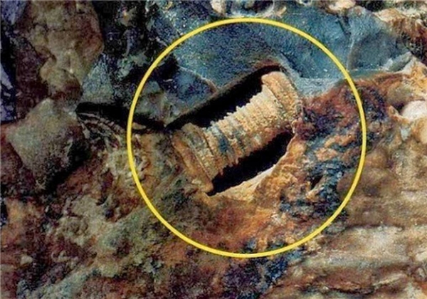 Vật thể được cho là một ốc vít thời cổ đại.