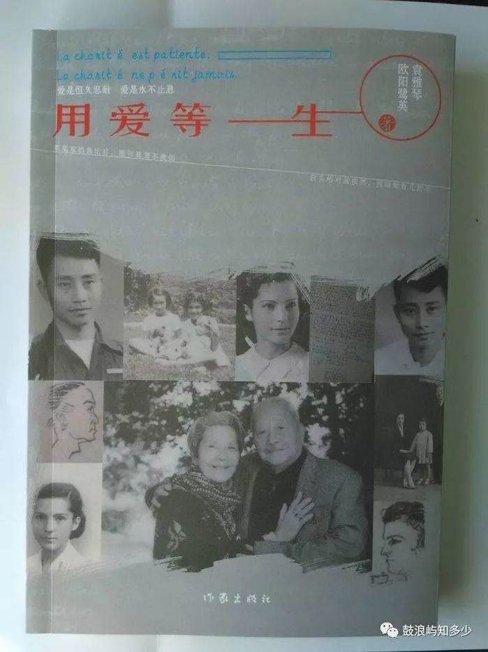 
Cuốn sách kể về đoạn tình cảm đầy trắc trở giữa ông Viện Địch Bảo và bà Danny Li