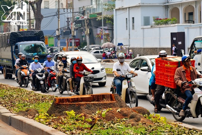 
Nhiều ngươi tham gia lưu thông tiếc nuối ngoái nhìn gốc cây trơ trọi. Con đường rợp bóng cây xanh của Sài Gòn nay đã không còn nữa.