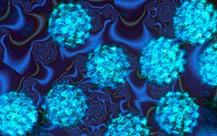 
Virus HPV có thể lây truyền qua nhiều con đường khác nhau.