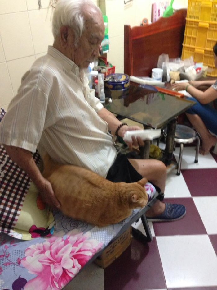 Chùm ảnh ông nội và em mèo béo khiến CĐM thích thú và câu chuyện cảm động phía sau