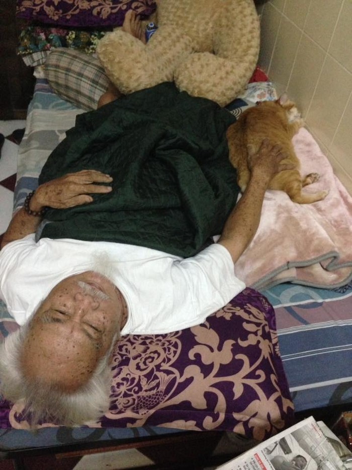 Chùm ảnh ông nội và em mèo béo khiến CĐM thích thú và câu chuyện cảm động phía sau