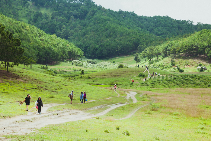 Với độ dài hơn 50 km, cung đường rừng Tà Năng - Phan Dũng trải qua 3 tỉnh Lâm Đồng, Ninh Thuận, Bình Thuận và được mệnh danh là cung đường trekking đẹp nhất Việt Nam. Với độ dài hơn 50 km, cung đường rừng Tà Năng - Phan Dũng trải qua 3 tỉnh Lâm Đồng, Ninh Thuận, Bình Thuận và được mệnh danh là cung đường trekking đẹp nhất Việt Nam.