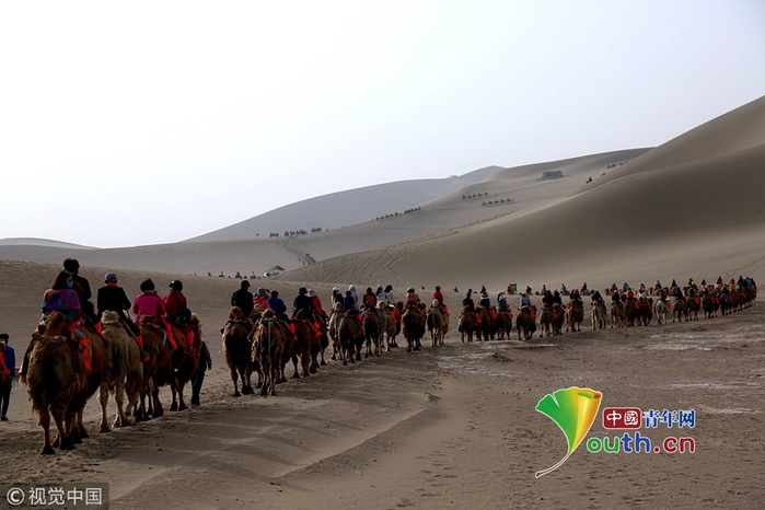 
Cảnh tượng hiếm thấy khi những đoàn người lên tới hàng trăm người cùng nhau cưỡi lạc đà đi trên cồn cát