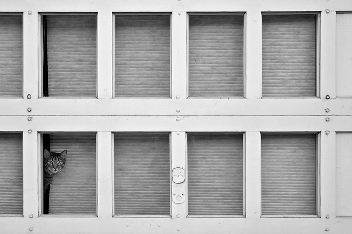 Ló một tý ra thôi, để chúng mày đừng quên "quàng thượng" này! Ló một tý ra thôi, để chúng mày đừng quên "quàng thượng" này!