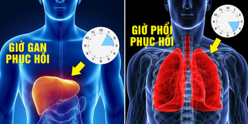 Thời điểm bạn giật mình tỉnh giấc mỗi đêm có thể là dấu hiệu quan trọng cảnh báo tình trạng sức khỏe Thời điểm bạn giật mình tỉnh giấc mỗi đêm có thể là dấu hiệu quan trọng cảnh báo tình trạng sức khỏe