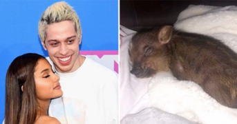 Hậu chia tay: Ariana Grande thà ôm còn một chú heo còn hơn giữ nhẫn đính hôn mà Pete Davidson tặng Hậu chia tay: Ariana Grande thà ôm còn một chú heo còn hơn giữ nhẫn đính hôn mà Pete Davidson tặng