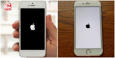 iPhone xài Wifi "chùa" coi chừng thành "cục gạch"