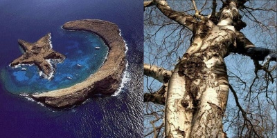 Những cú lừa ngoạn mục nhất bằng Photoshop khiến thế giới tin sái cổ