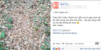 Cùng "thánh soi" chơi vạch lá tìm... con-mà-chẳng-ai-biết-là-con-gì-đó