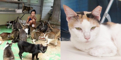Người phụ nữ U50 suy dinh dưỡng vì nhịn ăn để nuôi 150 con mèo