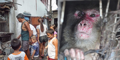 Xót xa với chú khỉ bị giam cầm suốt 25 năm trong chiếc "hang" tăm tối