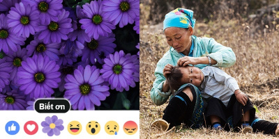 Những điều "nhức nhối" quanh những bông hoa biết ơn ngày của Mẹ