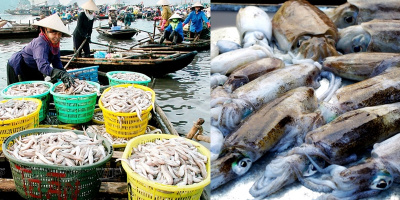 Tươi ngon khó cưỡng hải sản đánh bắt tại chợ cá Bến Do ở Quảng Ninh