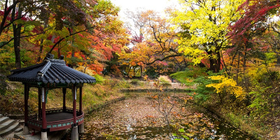 Đọc bài này, bạn chỉ muốn "phi" ngay tới Nhật Bản và Hàn Quốc tận hưởng mùa thu