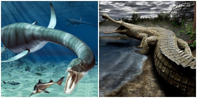 5 quái vật cổ đại mà bạn phải cảm ơn trời vì đã khiến chúng... tuyệt chủng