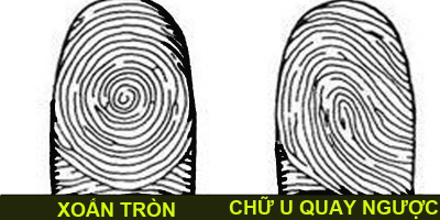 Hãy ngắm nghía vân tay của bạn, chúng sẽ phán rất chuẩn bạn là người như thế nào