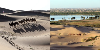 Sa mạc Kubuqi: Từ những cồn cát cằn cỗi đến thiên đường quyến rũ
