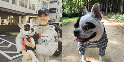 Sau scandal cắn chết người, chú chó cưng của gia đình Siwon giờ đang ở đâu?