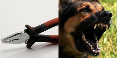 Đây chính là những phương thức tra tấn thời hiện đại, không máu me mà nhìn vẫn chết khiếp