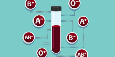 Những người có nhóm máu khác nhau sẽ có nguy cơ nhiễm bệnh khác nhau, bạn thuộc nhóm máu nào?
