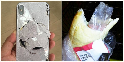 20 hình ảnh này chứng minh cuộc sống không phải lúc nào cũng “màu hồng” đâu