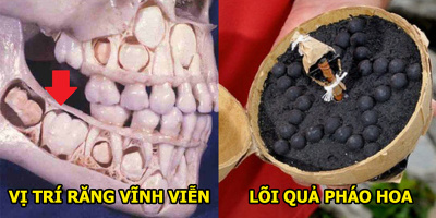 10 hình ảnh rất quen thuộc mà bạn thường nghe nhưng chưa bao giờ thấy tận mắt