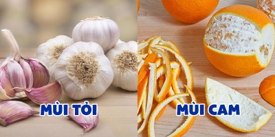Tin sốc cho tín đồ giảm cân: Chỉ cần ngửi những mùi này ngay lập tức xuống cân vùn vụt