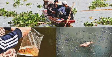Sài Gòn: Chích điện để bắt lại cá đã được phóng sinh, nhóm "người lạ" thách thức bất cứ ai ngăn cản