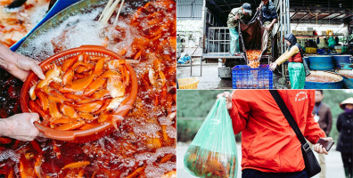 Hà Nội: Sắc đỏ cam "óng ánh" của đàn cá chép chuẩn bị theo Táo về trời đang "nhuộm" các khu chợ