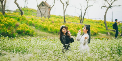 Ngỡ ngàng với vườn tam giác mạch trái mùa đẹp ngây ngất giữa Hà Nội, giới trẻ thi nhau đến check-in