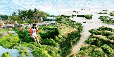 Phát hiện bãi đá rêu xanh, đẹp như một miền cổ tích tại biển Cổ Thạch, lưu vào và đi ngay thôi!
