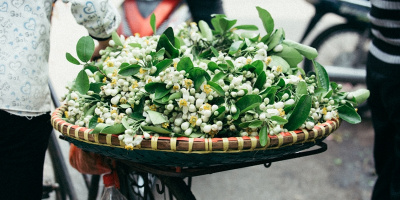 Chùm ảnh: Từng gánh hoa bưởi dập dìu trên đường phố Thủ đô, hương thơm quấn quýt mãi chẳng rời