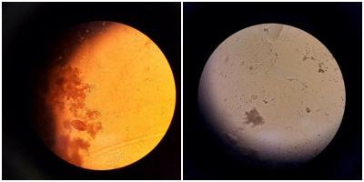 Cứ ngỡ NASA vừa phát hiện một hành tinh mới, nhưng sự thật đằng sau khiến ai cũng phải "ngã ngửa"