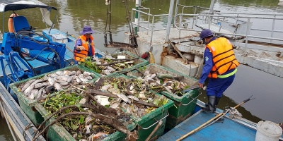 Sài Gòn: Cá lại chết hàng loạt trên kênh Nhiêu Lộc – Thị Nghè