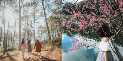 Truy lùng 5 phiên bản khác nhau của miền đất thơ Đà Lạt, thật như chính bản gốc!
