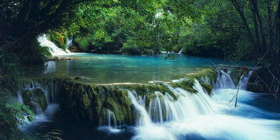 10 vườn quốc gia đẹp nhất Việt Nam phải ghé thăm một lần trong đời