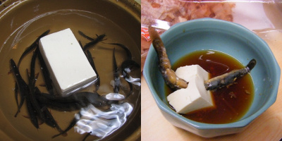 Tàu hủ địa ngục, món ăn tàn nhẫn và đầy tai tiếng trong ẩm thực Nhật Bản
