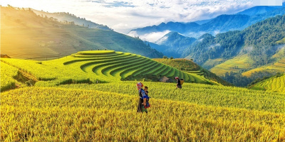 Tận hưởng vẻ đẹp đến choáng ngợp của ruộng bậc thang Mù Cang Chải: Hút hồn mùa lúa chín