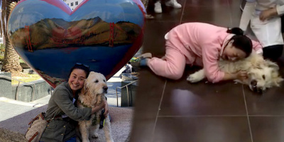 Lời kêu cứu ai oán của người phụ nữ sau khi bé chó cưng bị sát hại thương tâm